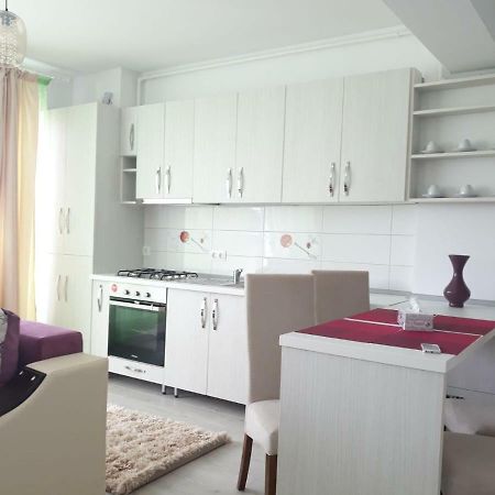 Apartament Coresi Брашов Екстер'єр фото