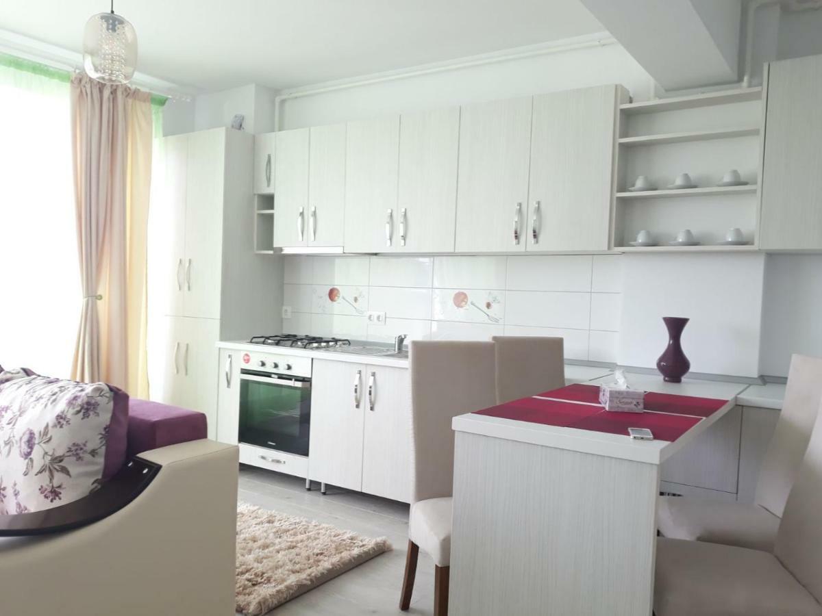 Apartament Coresi Брашов Екстер'єр фото