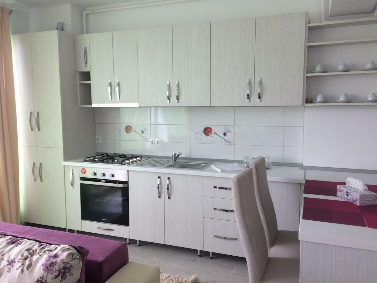 Apartament Coresi Брашов Екстер'єр фото